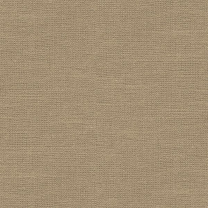 Barnegat Sand by Kravet Basics Fabric