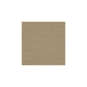 Barnegat Sand by Kravet Basics Fabric