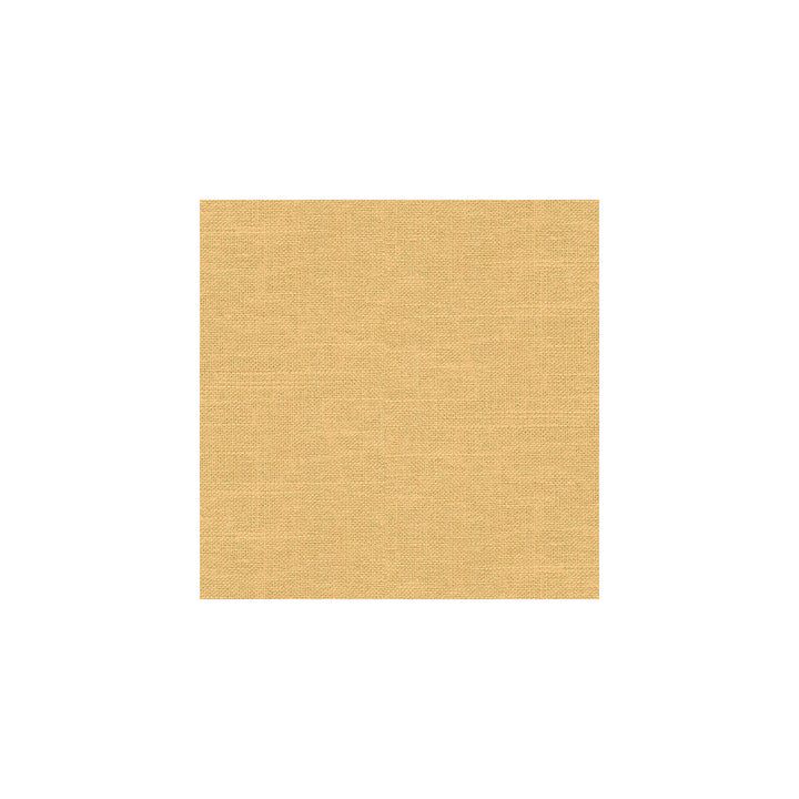 Barnegat Camel by Kravet Basics Fabric PERFECT PLAINS LINEN - 55%;VISCOSE - 45% China MEDIUM Horizontal: 0 and Vertical: 0 55 - Fabric Carolina -