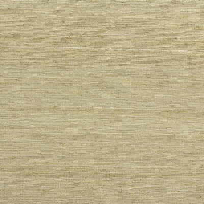 Kravet Basics 24608-1 by Kravet Basics Fabric Kravet Basics Fabric Kravet Basics 24608-1Fabric SILK - 100% India </p><p>Repeat: H: 0, V: 0 54 - Fabric Carolina -