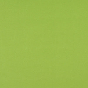 2469 Lime by Charlotte Fabric