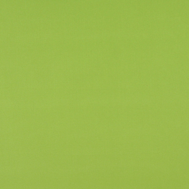 2469 Lime by Charlotte Fabric All Seasons & Outdoor/Indoor Oasis II 100% Solution Dyed Woven Acrylic Italy Exceeds 140,000 Wyzenbeek Rubs (Heavy Duty) </p><p>Repeat: 54 Inches - Fabric Carolina -