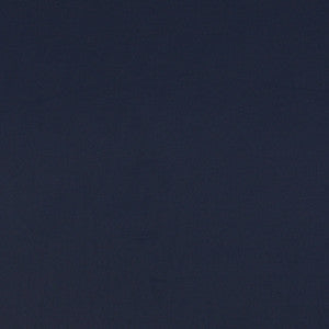 2476 Navy by Charlotte Fabric