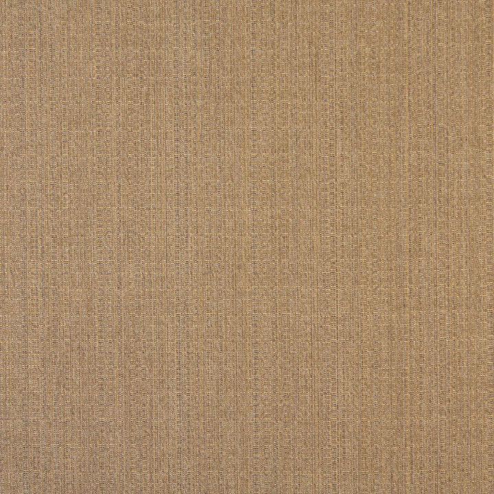 2483 Gold Dust by Charlotte Fabric All Seasons, Decorative Duck & Outdoor/Indoor Oasis II 100% Solution Dyed Woven Acrylic Italy Exceeds 140,000 Wyzenbeek Rubs (Heavy Duty) </p><p>Repeat: No Repeat 54 Inches - Fabric Carolina -
