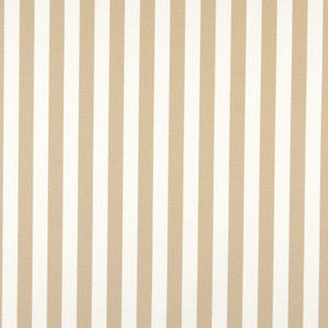 2484 Sand Canopy by Charlotte Fabric