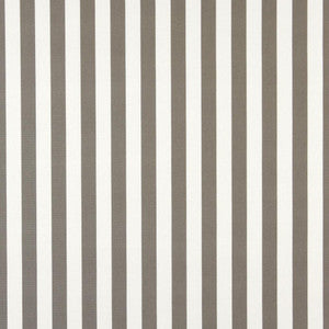 2486 Taupe Canopy by Charlotte Fabric