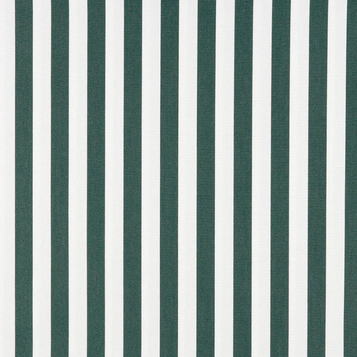 2488 Forest Canopy by Charlotte Fabric All Seasons & Outdoor/Indoor Oasis II 100% Solution Dyed Woven Acrylic Italy Exceeds 140,000 Wyzenbeek Rubs (Heavy Duty) Horizontal: 2" 54 Inches - Fabric Carolina -