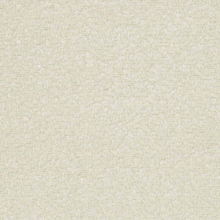 Loopy Alpaca 44 by P Kaufmann Fabrics Fabric