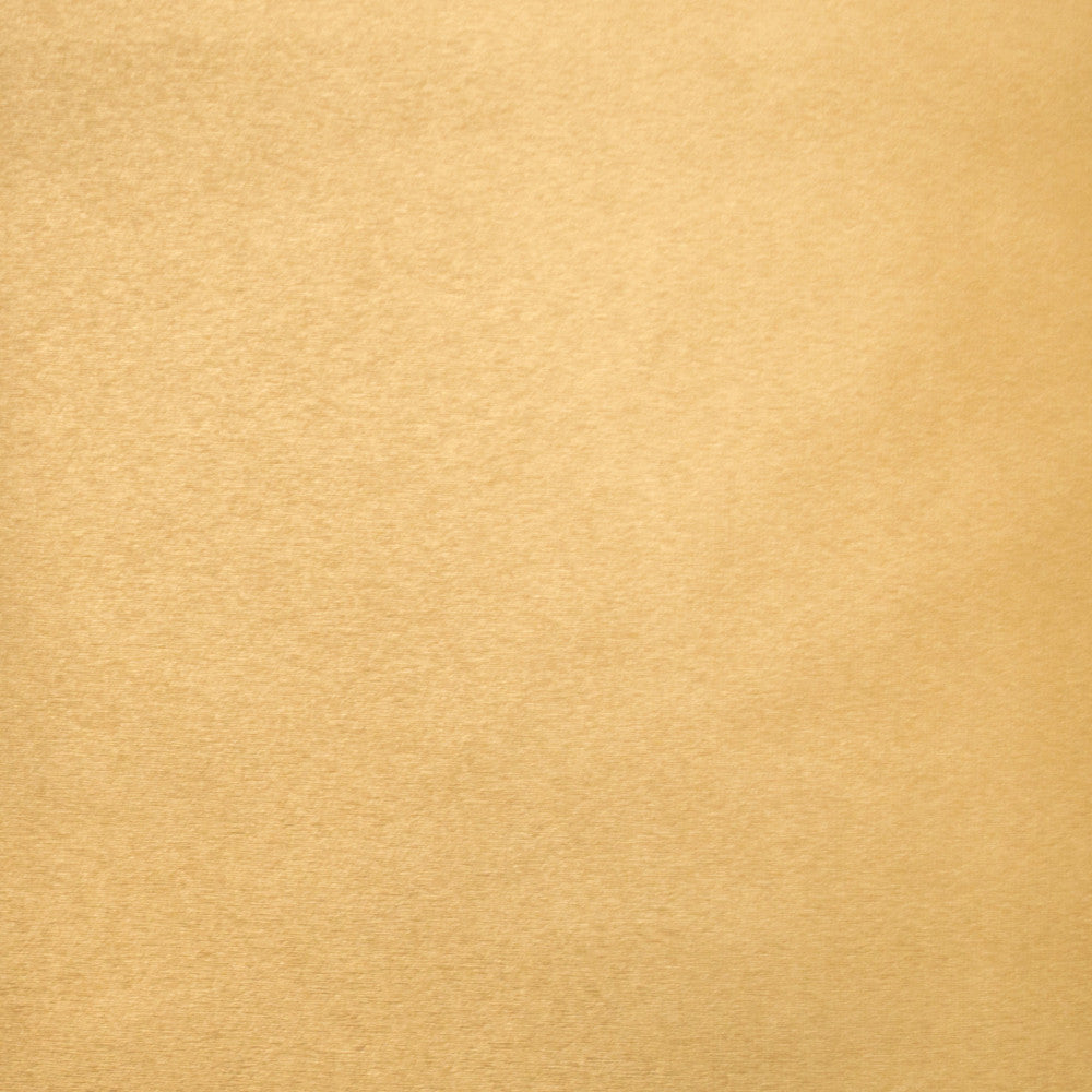Pioneer 24 by Europatex Fabric Pioneer 40% Polyester, 55% PVC, 5% PU 55.00 inches - Fabric Carolina -