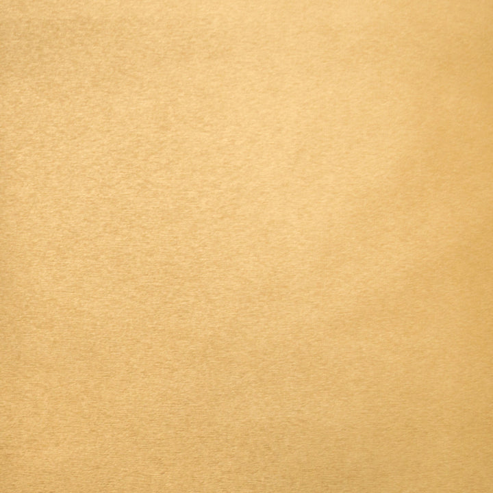 Pioneer 24 by Europatex Fabric Pioneer 40% Polyester, 55% PVC, 5% PU 55.00 inches - Fabric Carolina -