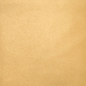 Pioneer 24 by Europatex Fabric