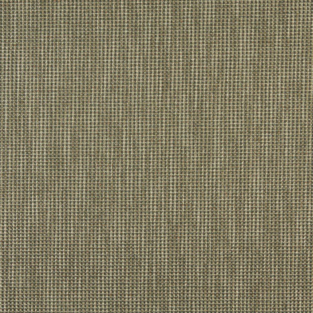 2502 Sage by Charlotte Fabric Chenille Classics IV 69% Olefin, 31% Polyester Made In USA Exceeds 100,000 Wyzenbeek Rubs (Heavy Duty) No Repeat 54 Inches - Fabric Carolina -