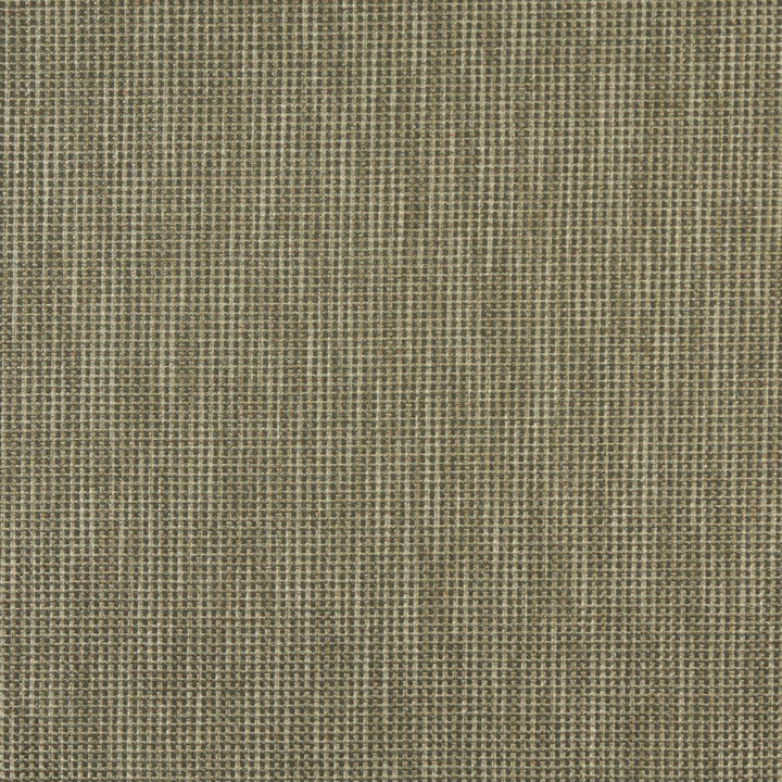 2502 Sage by Charlotte Fabric Chenille Classics IV 69% Olefin, 31% Polyester Made In USA Exceeds 100,000 Wyzenbeek Rubs (Heavy Duty) No Repeat 54 Inches - Fabric Carolina -