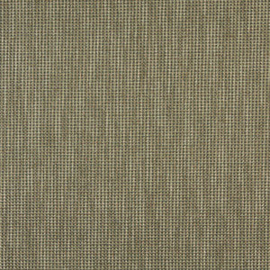 2502 Sage by Charlotte Fabric