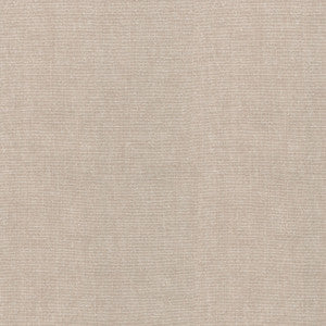 Cleary Flax 250441 by ED Ellen DeGeneres Fabric