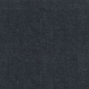 Cleary Charcoal Nc 250610 by ED Ellen DeGeneres Fabric