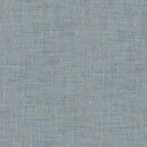 Arita Chambray 250641 by ED Ellen DeGeneres Fabric
