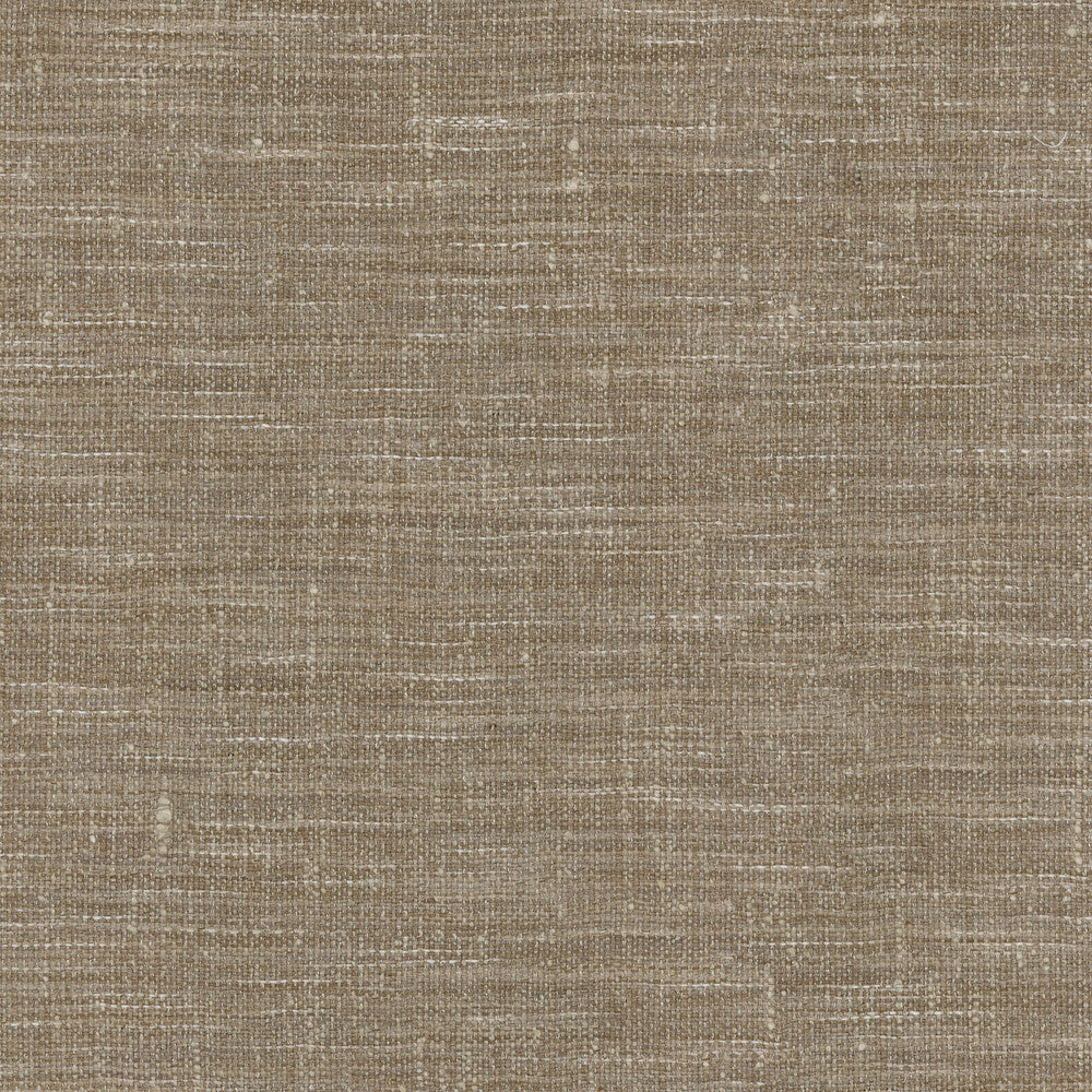 Arita Natural 250643 by ED Ellen DeGeneres Fabric - 100%Polyester INDIA 51000 Horizontal: 0 and Vertical: 0 54 - Fabric Carolina -