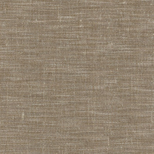 Arita Natural 250643 by ED Ellen DeGeneres Fabric