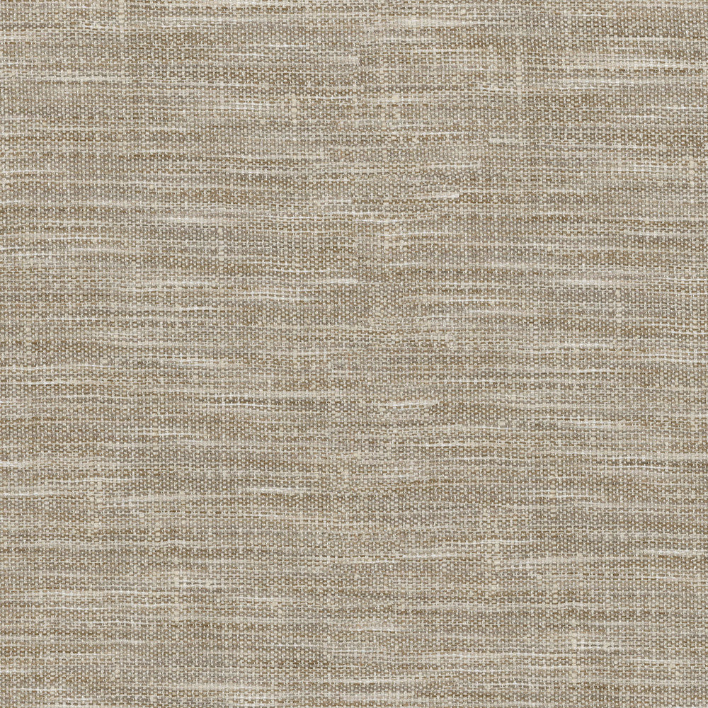 Arita Fossil 250644 by ED Ellen DeGeneres Fabric - 100% Polyester INDIA 51000 Horizontal: 0 and Vertical: 0 54 - Fabric Carolina -