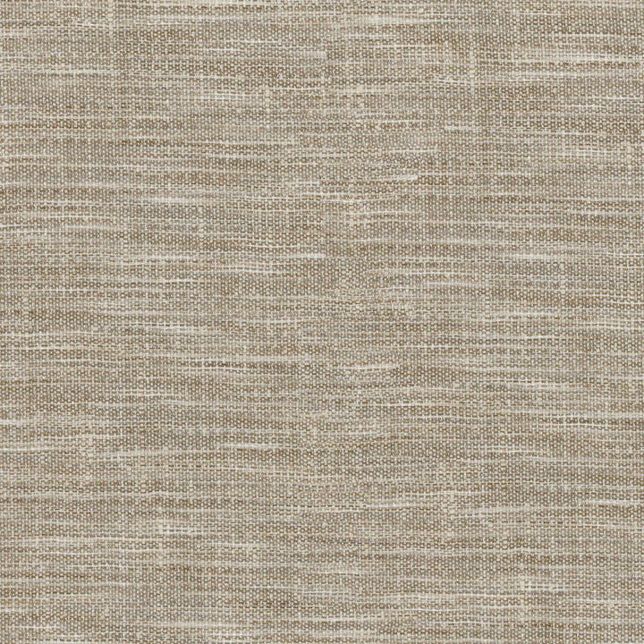 Arita Fossil 250644 by ED Ellen DeGeneres Fabric - 100%Polyester INDIA 51000 Horizontal: 0 and Vertical: 0 54 - Fabric Carolina -