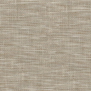 Arita Fossil 250644 by ED Ellen DeGeneres Fabric