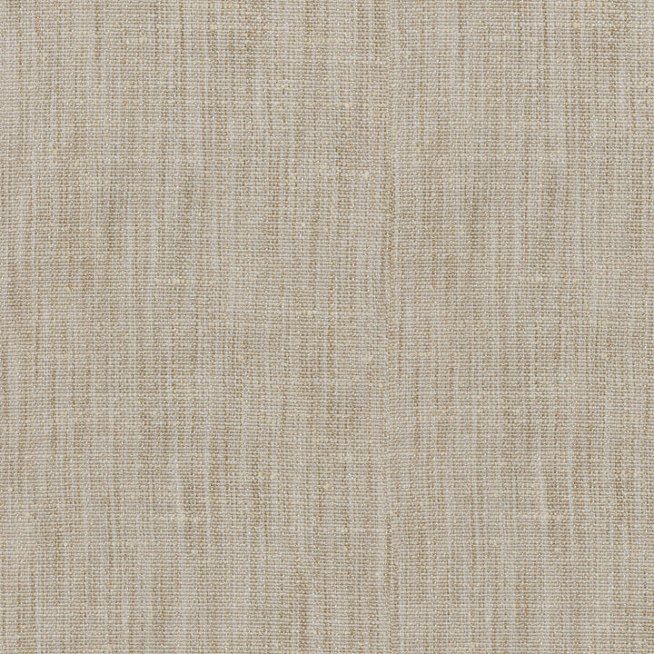 Arita Flax 250646 by ED Ellen DeGeneres Fabric - 100%Polyester INDIA 51000 Horizontal: 0 and Vertical: 0 54 - Fabric Carolina -