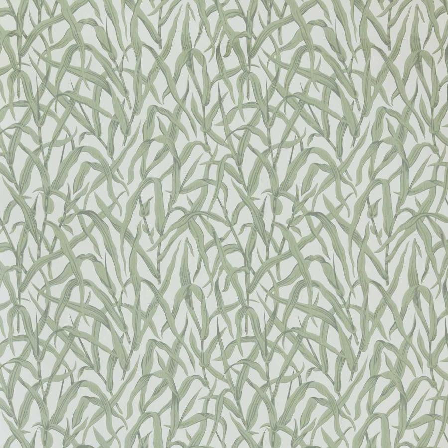 Ornamental Grasses (Wp) # 01 Sage by 1838 Wallcoverings Wallpaper V&A Decorative Papers Iii STRAIGHT PASTE THE WALL UNITED KINGDOM V-21" 20.5"X11YD - Fabric Carolina -