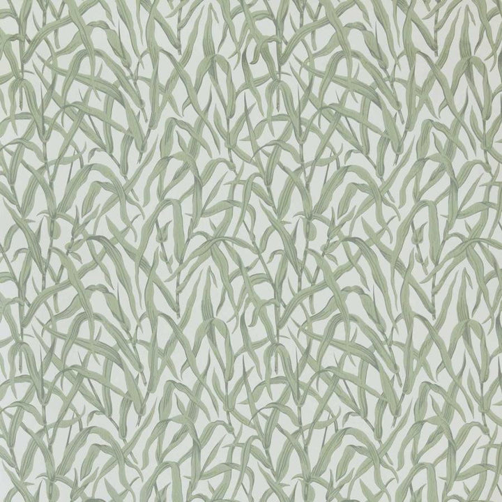 Ornamental Grasses (Wp) # 01 Sage by 1838 Wallcoverings Wallpaper V&A Decorative Papers Iii STRAIGHT PASTE THE WALL UNITED KINGDOM V-21" 20.5"X11YD - Fabric Carolina -