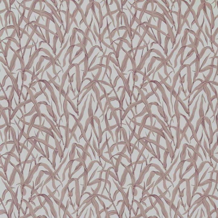 Ornamental Grasses (Wp) # 03 Rose by 1838 Wallcoverings Wallpaper V&A Decorative Papers Iii STRAIGHT PASTE THE WALL UNITED KINGDOM V-21" 20.5"X11YD - Fabric Carolina -