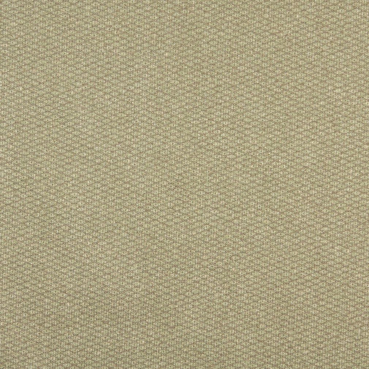 2527 Celery by Charlotte Fabric Chenilles, Chenille Classics IV & Ring Book Page #78 83% Olefin, 17% Polyester Made In USA Exceeds 100,000 Wyzenbeek Rubs (Heavy Duty) No Repeat 54 Inches - Fabric Carolina -