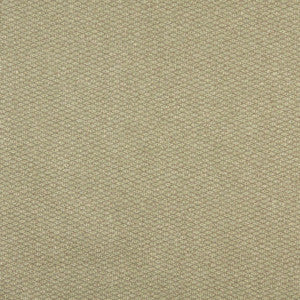 2527 Celery by Charlotte Fabric