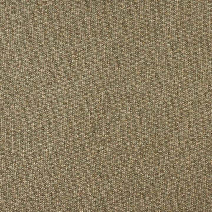 2529 Rosemary by Charlotte Fabric Chenilles, Chenille Classics IV & Ring Book Page #78 83% Olefin, 17% Polyester Made In USA Exceeds 100,000 Wyzenbeek Rubs (Heavy Duty) No Repeat 54 Inches - Fabric Carolina -
