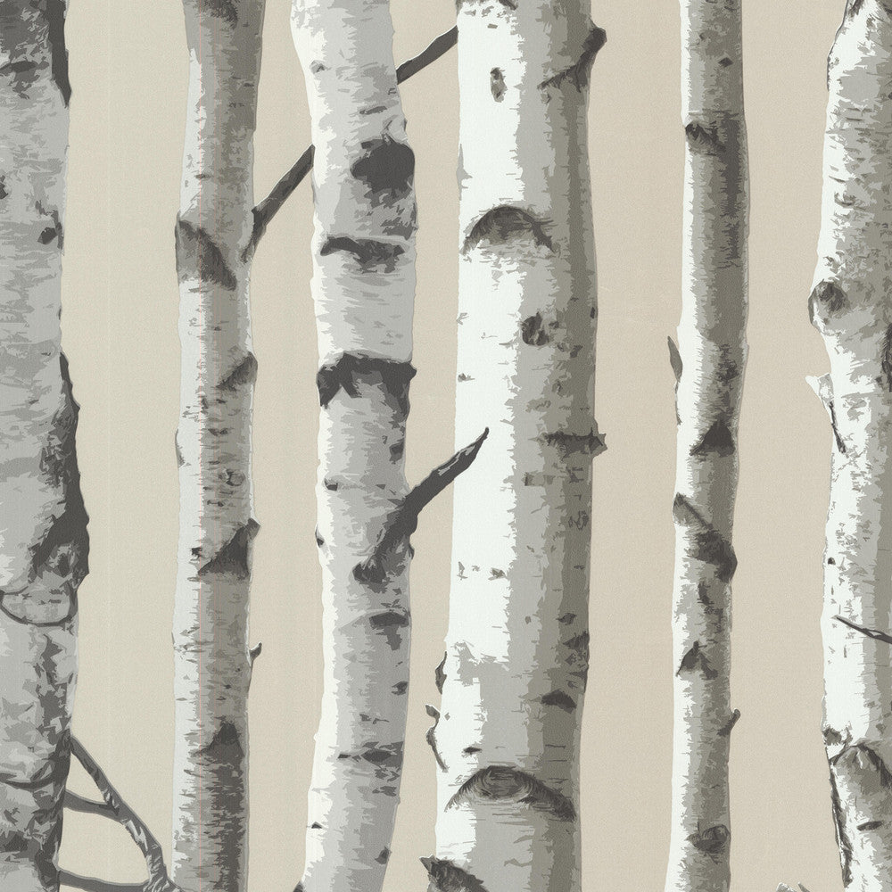 Irvin Grey Birch Tree Wallpaper by Brewster Bath Bath Bath IV Covers about 56.4 square feet 20.5-in by 33-ft long roll Unpasted 21 - Fabric Carolina -