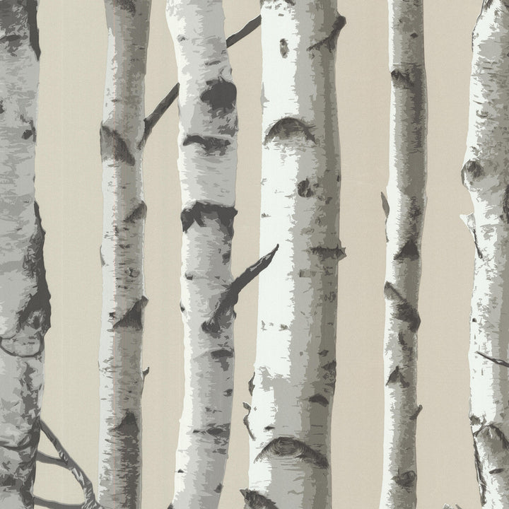 Irvin Grey Birch Tree Wallpaper by Brewster Bath Bath Bath IV Covers about 56.4 square feet 20.5-in by 33-ft long roll Unpasted 21 - Fabric Carolina -