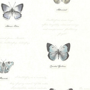 Admiral Black Butterflies and Script Wallpaper by Brewster