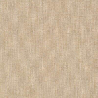 Shelter Limestone by Kravet Couture Fabric