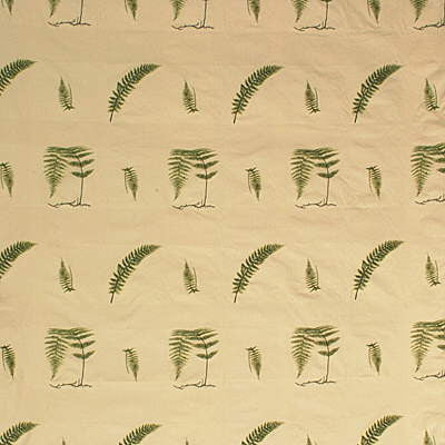 Soft Fern Ivy by Kravet Couture Fabric