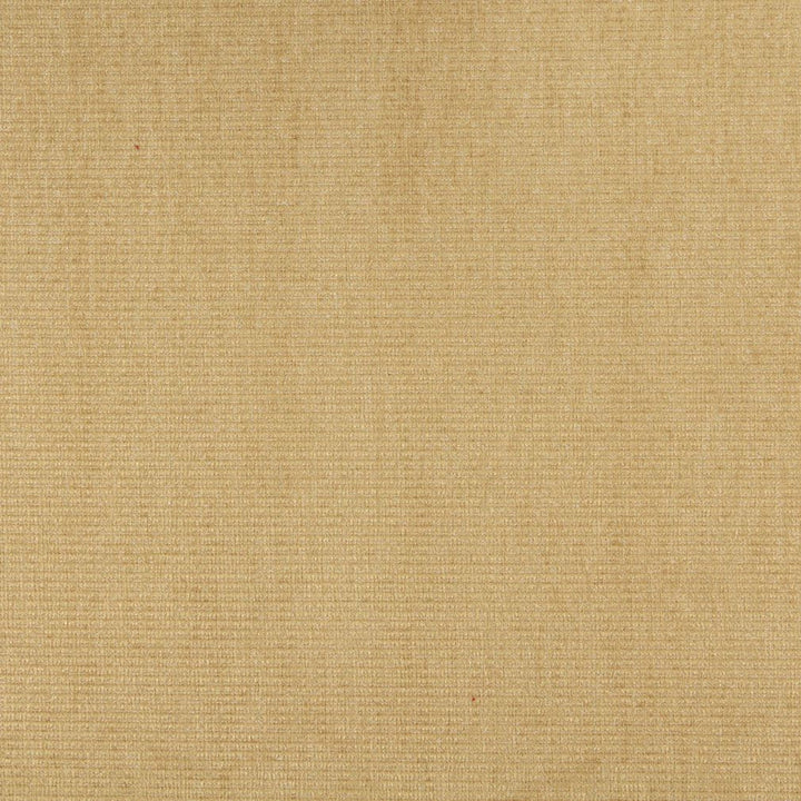 2546 Dune by Charlotte Fabric Chenille Classics IV 47% Acrylic, 37% Polyester, 16% Olefin Made In USA Exceeds 100,000 Wyzenbeek Rubs (Heavy Duty) No Repeat 54 Inches - Fabric Carolina -