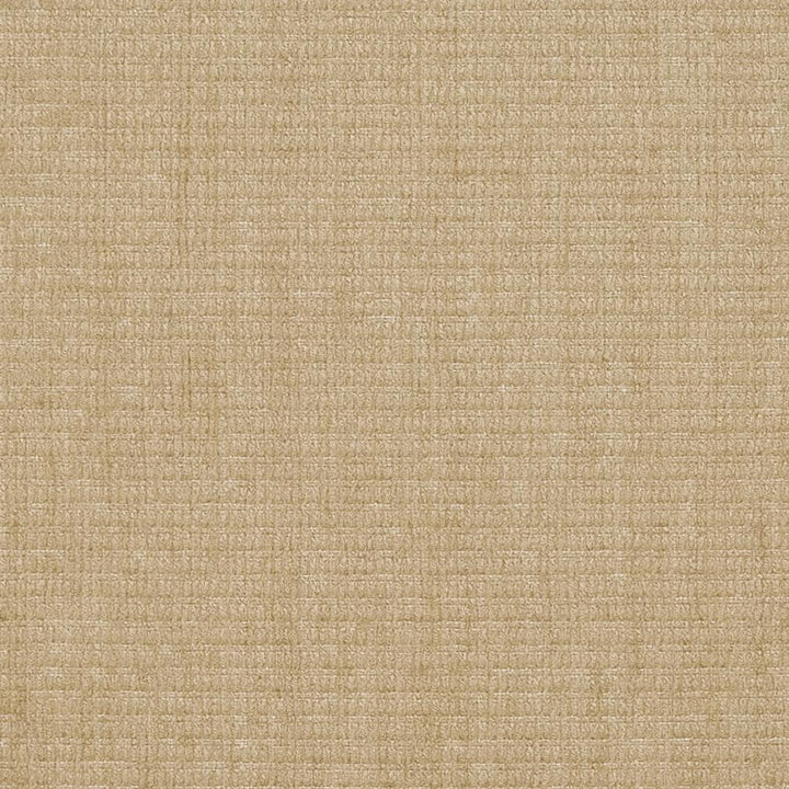 2548 Linen by Charlotte Fabric Chenille Classics IV 47% Acrylic, 37% Polyester, 16% Olefin Made In USA Exceeds 100,000 Wyzenbeek Rubs (Heavy Duty) No Repeat 54 Inches - Fabric Carolina -
