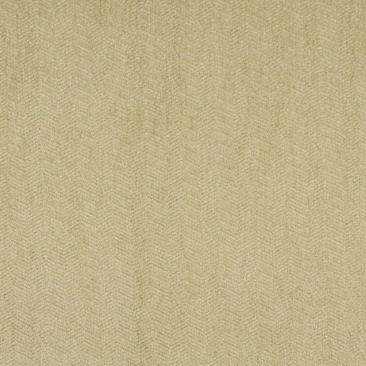 2555 Cactus by Charlotte Fabric Chenille Classics IV 45% Acrylic, 33% Polyester, 22% Olefin Made In USA Exceeds 100,000 Wyzenbeek Rubs (Heavy Duty) </p><p>Repeat: 54 Inches - Fabric Carolina -