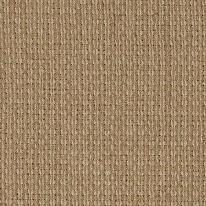 2556 Birch by Charlotte Fabric