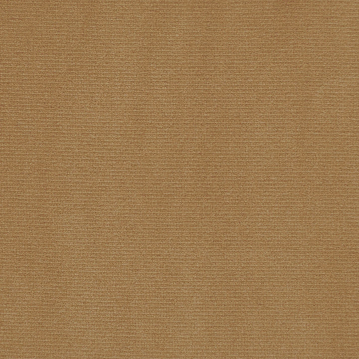 Perf Merit Nugget 107 by P Kaufmann Fabrics Fabric