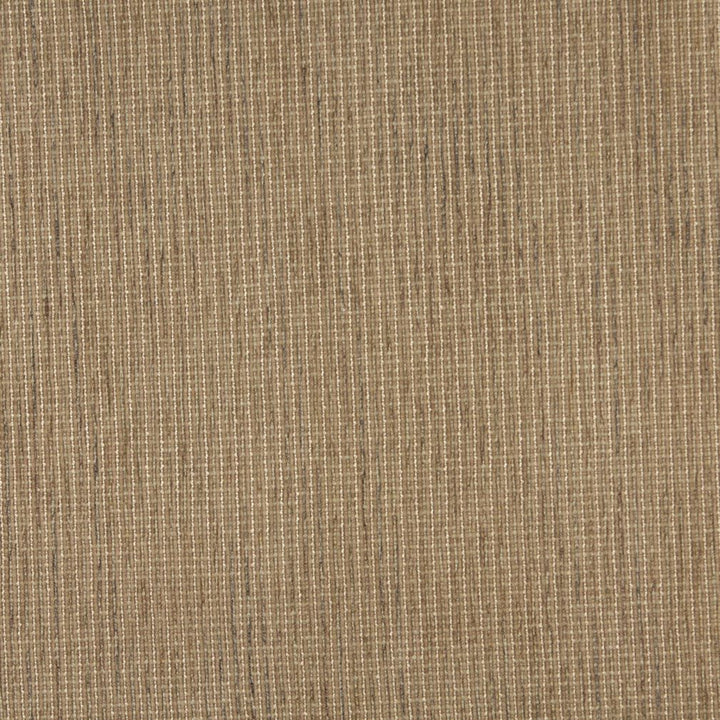 2559 Cafe by Charlotte Fabric Chenille Classics IV 57% Olefin, 43% Polyester Made In USA Exceeds 100,000 Wyzenbeek Rubs (Heavy Duty) No Repeat 54 Inches - Fabric Carolina -