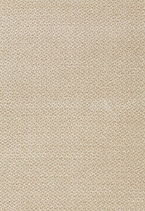 Landeau Chenille Pebble 25602 by Schumacher Fabric