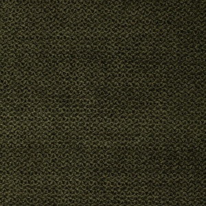 Landeau Chenille Pine 25616 by Schumacher Fabric
