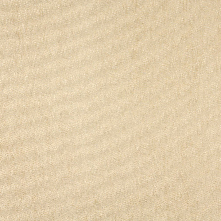 2564 Sand by Charlotte Fabric Chenille Classics IV 45% Acrylic, 33% Polyester, 22% Olefin Made In USA Exceeds 100,000 Wyzenbeek Rubs (Heavy Duty) No Repeat 54 Inches - Fabric Carolina -
