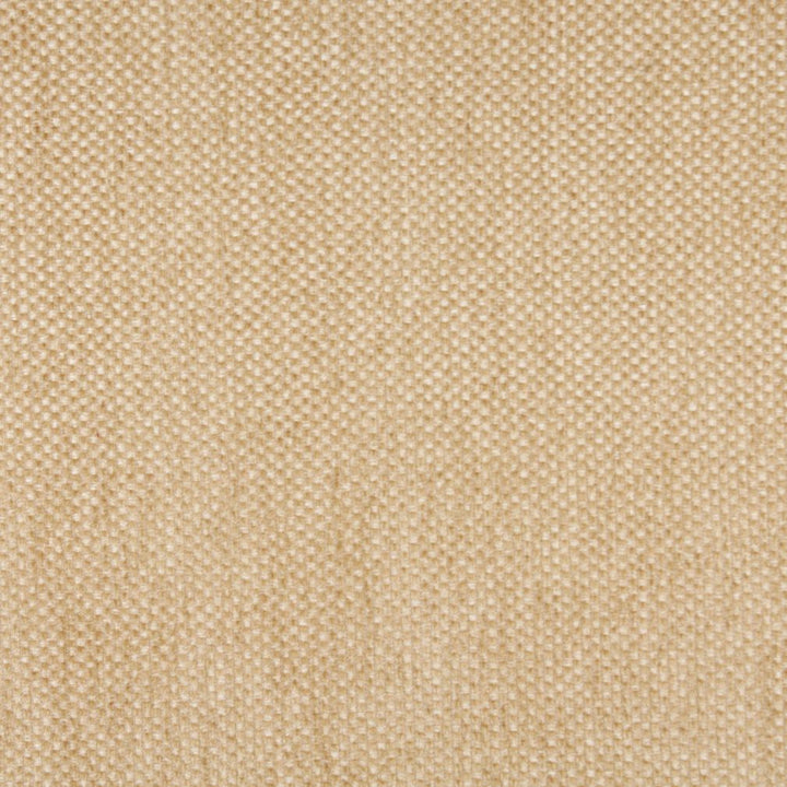 2570 Natural by Charlotte Fabric Chenille Classics IV 49% Acrylic, 31% Polyester, 20% Olefin Made In USA Exceeds 100,000 Wyzenbeek Rubs (Heavy Duty) No Repeat 54 Inches - Fabric Carolina -