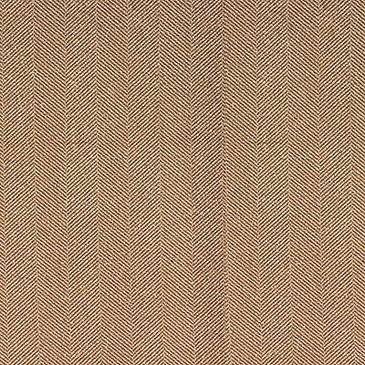 25739-116 by Kravet Design Fabric