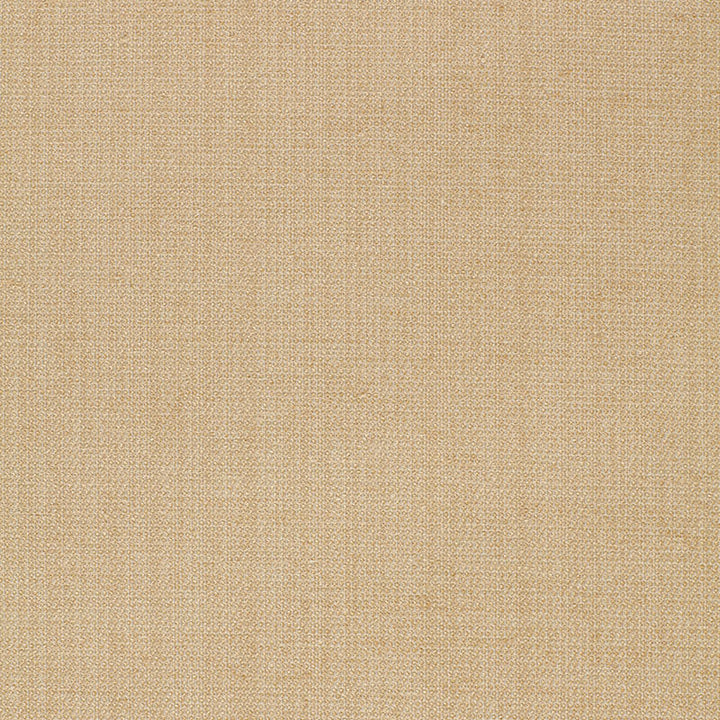 Waldon Chenille Sand 25741 by Schumacher Fabric OPULENT TEXTURES RAYON 68% POLYESTER 24% UNITED STATES OF AMERICA WYZENBEEK 30,000 </p><p>Repeat: Horizontal: and Vertical: 54 - Fabric Carolina -